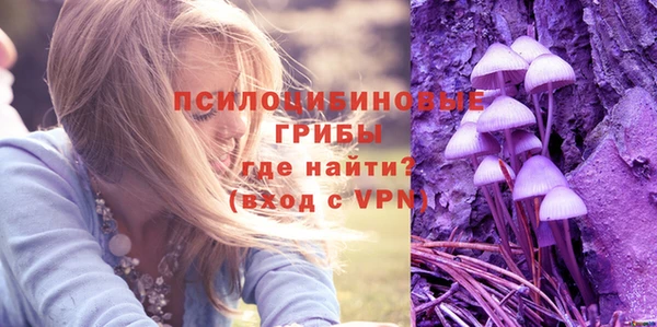 ешки Медвежьегорск