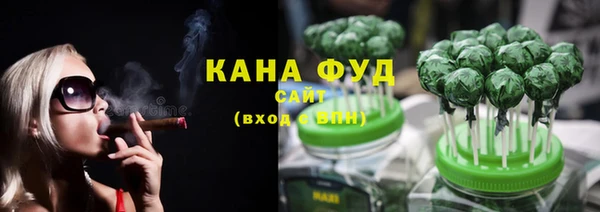 spice Медногорск